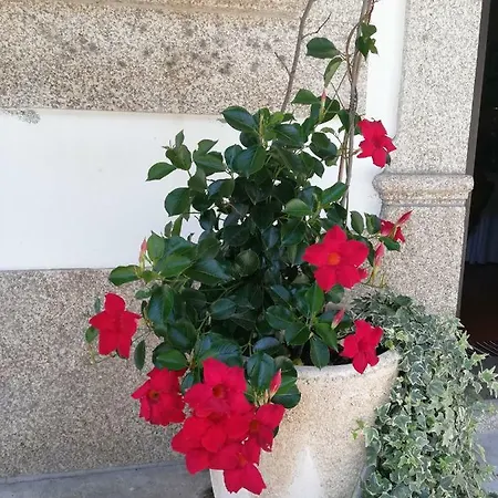 Venkovský dům The River House - Termas *