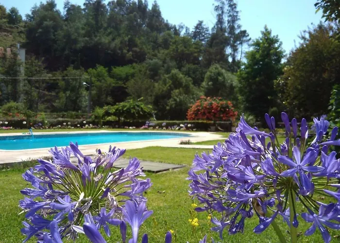The River House - Termas